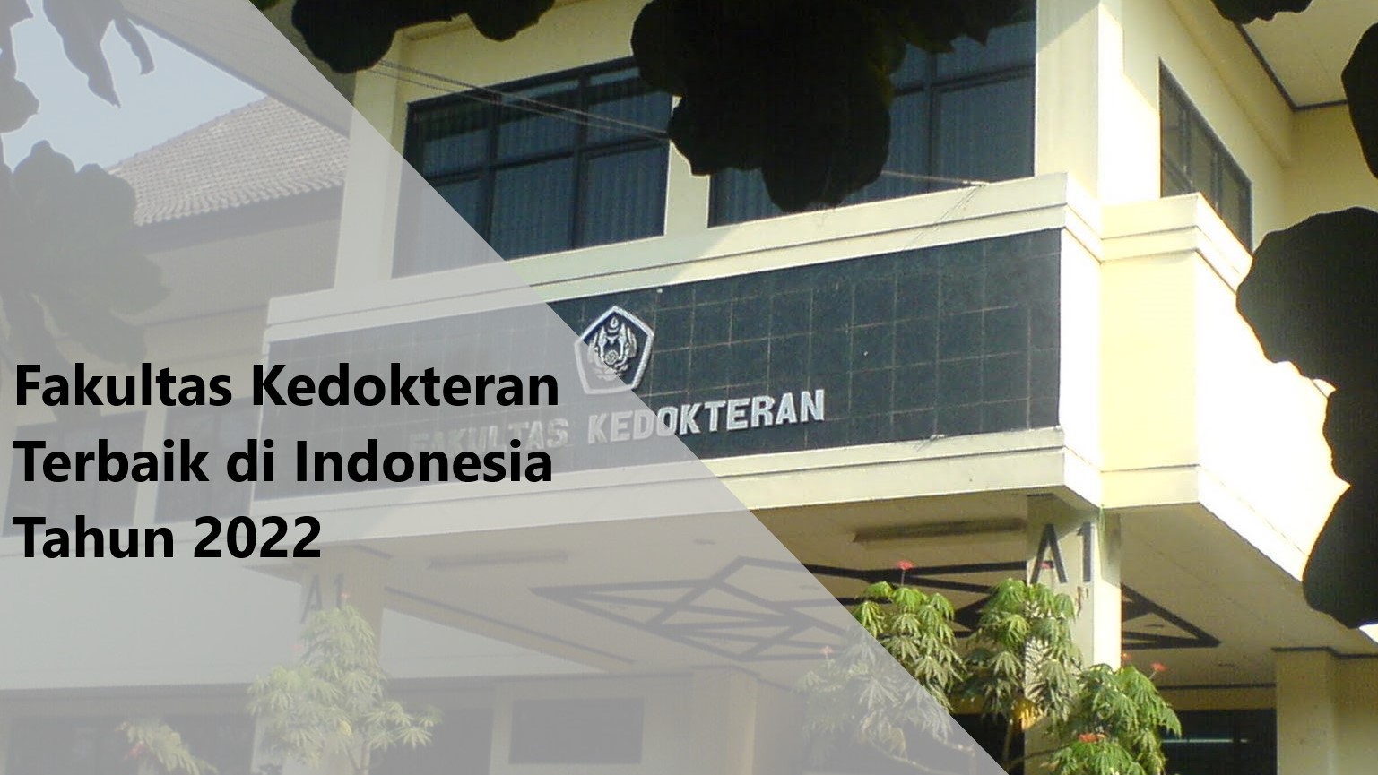 5 Rekomendasi Universitas Terbaik Fakultas Kedokteran di Indonesia